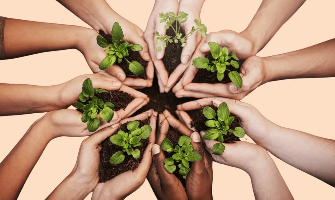 L&rsquo;Engagement Écologique de Comptoir du Bambou : Un Impact Positif
