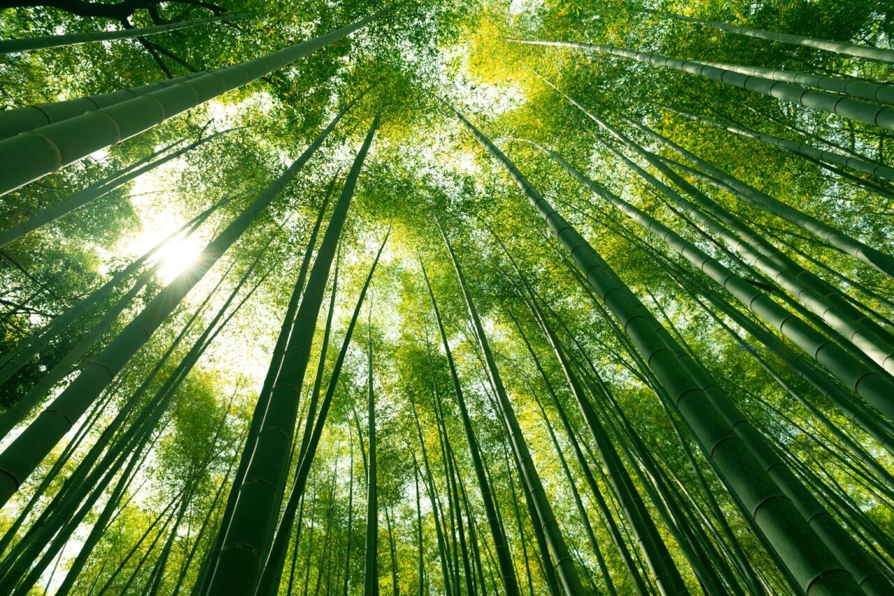hotel eco responsable