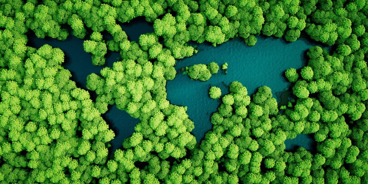 Un panorama aérien captivant d'une forêt luxuriante s'étend sous nos yeux, révélant la magnificence de la nature. Les nuances de vert, la densité des arbres et la symphonie visuelle de la canopée offrent une vision majestueuse de la vie végétale depuis les hauteurs du ciel. Accompagnée d'une carte du monde subtilement intégrée, cette image évoque la globalité et l'interconnexion de nos écosystèmes, rappelant la responsabilité partagée de préserver ces trésors naturels pour les générations futures.