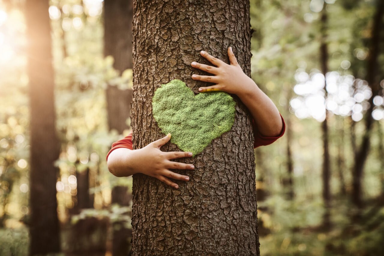 nature ecologie